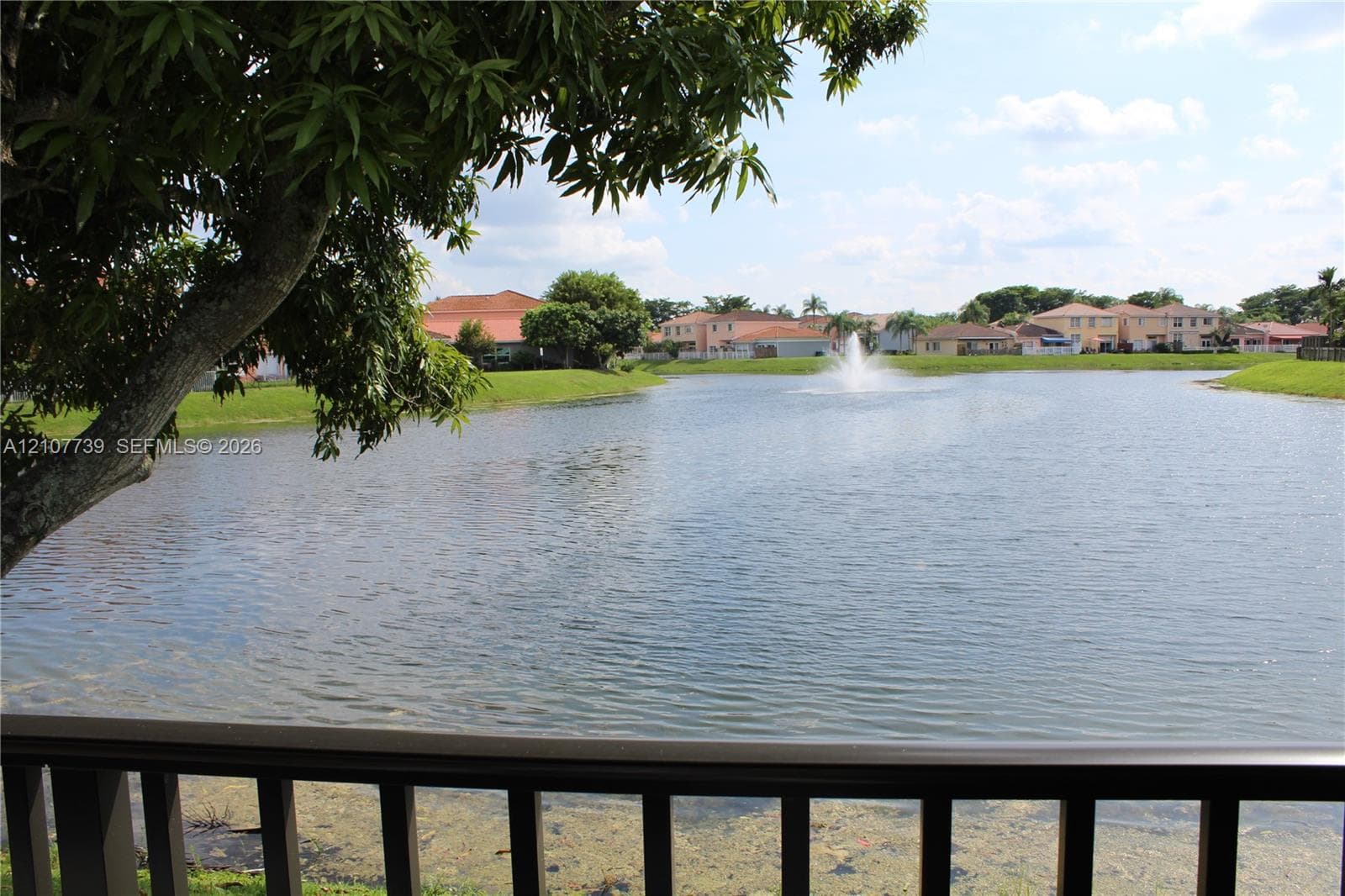 Waterfront property featuring a pond, illuminated fountain, and mature tree