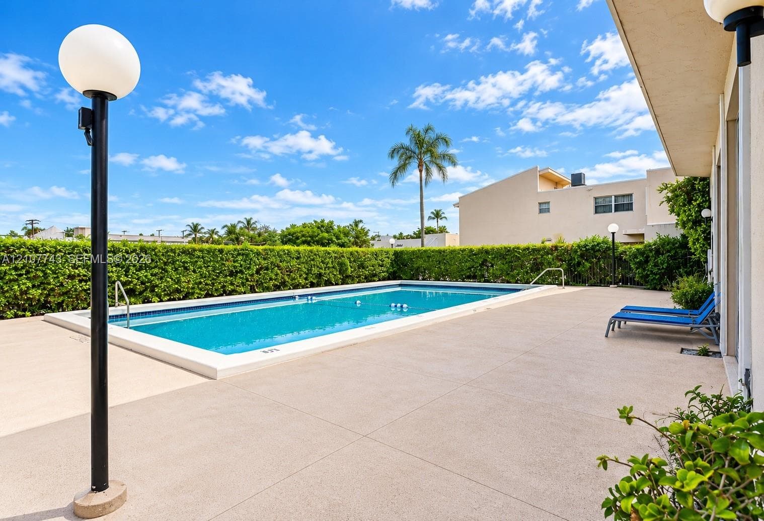 Rectangular swimming pool featuring a concrete patio deck, perimeter privacy hedges, and decorative spherical post lighting