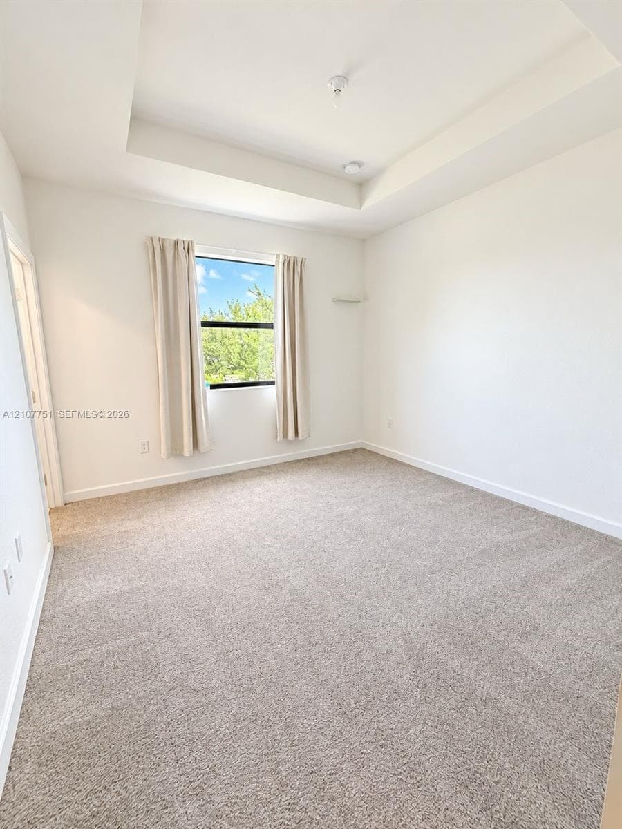 Tray ceiling, neutral carpeting, and single-pane window with exterior greenery