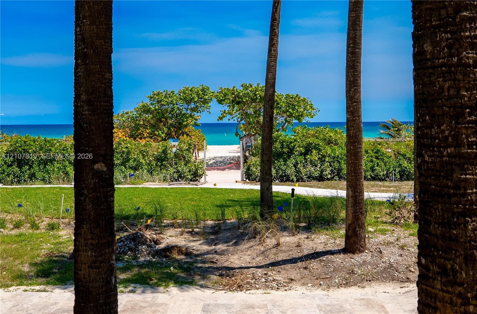 ground level view to the beach and ocean