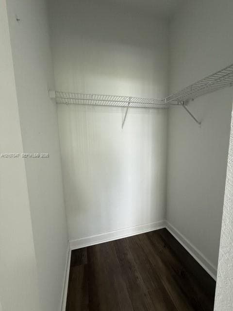 Walk-in closet featuring white wire shelving and dark wood-finish flooring