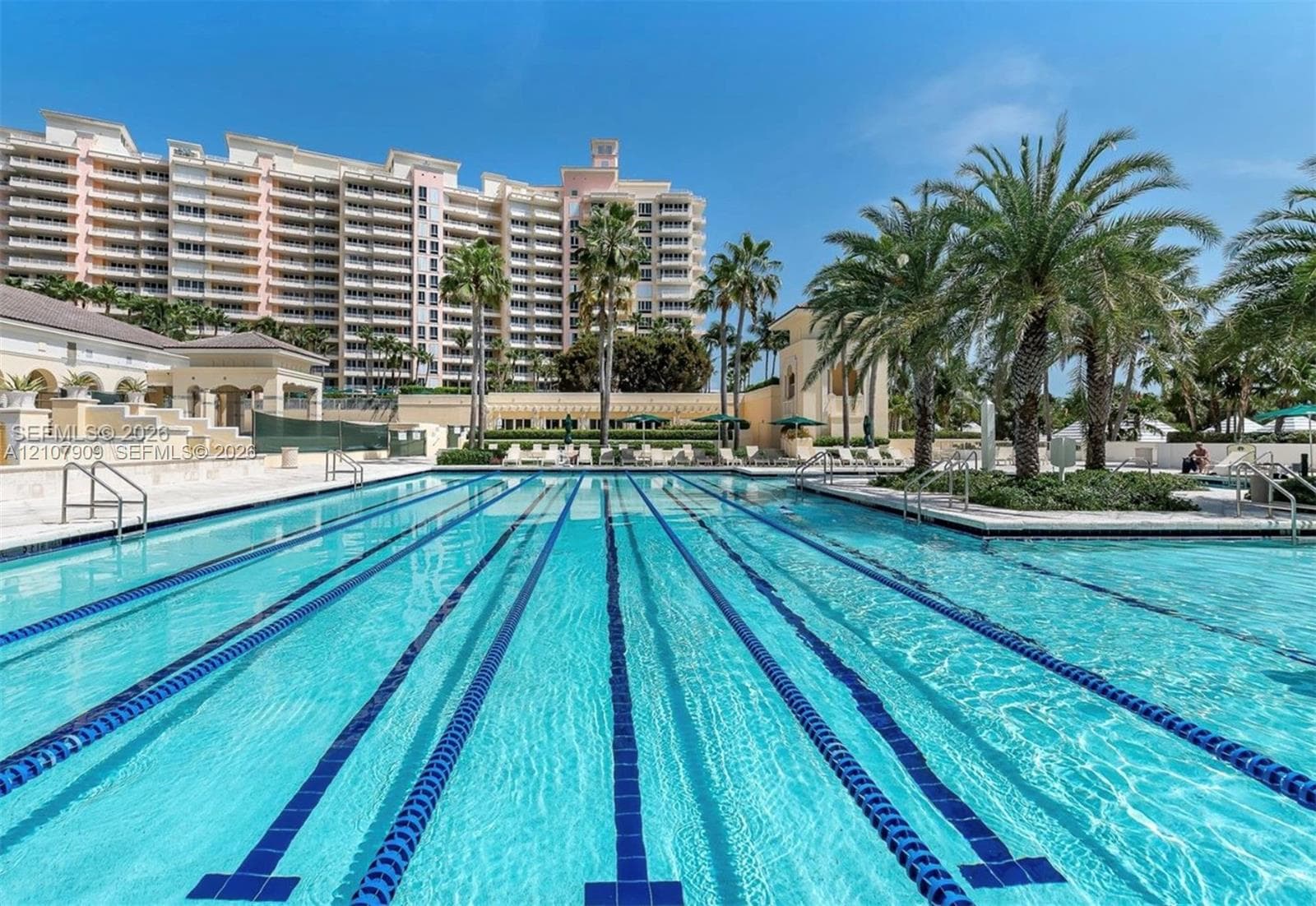 Lap swimming pool featuring lane markings, concrete decking, surrounding palm trees, and multi-story building exterior