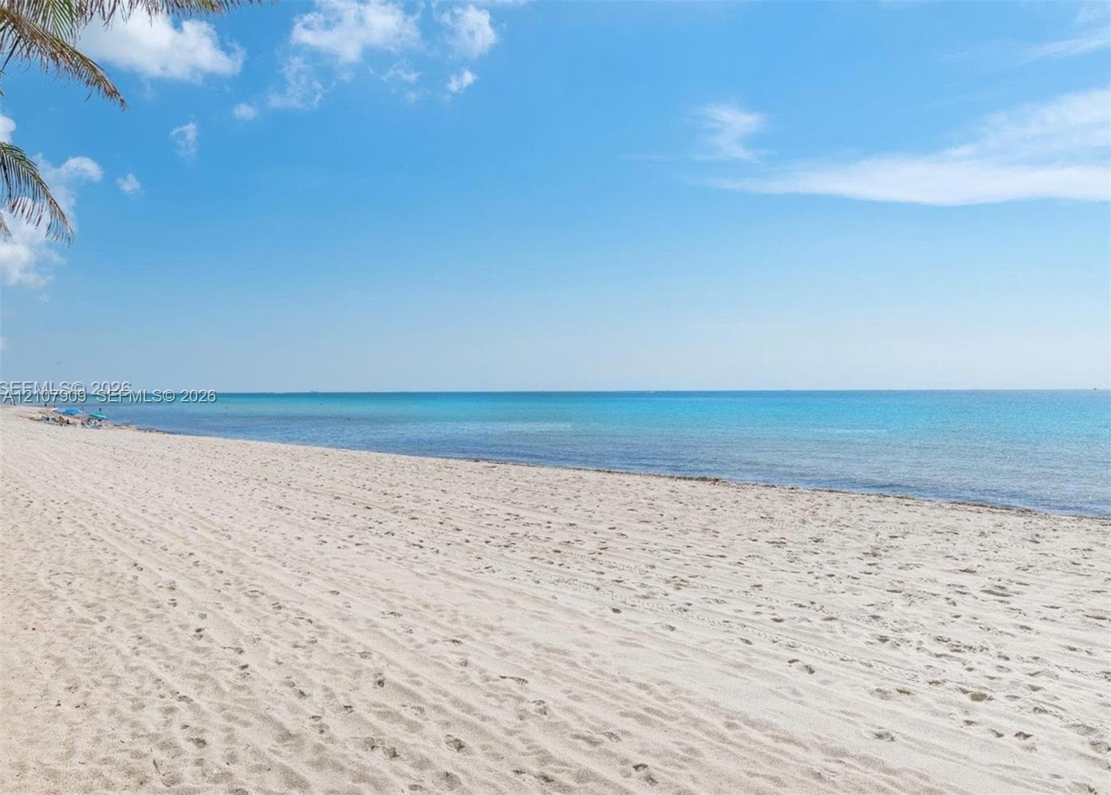 Sandy beach frontage featuring direct ocean access and palm tree foliage