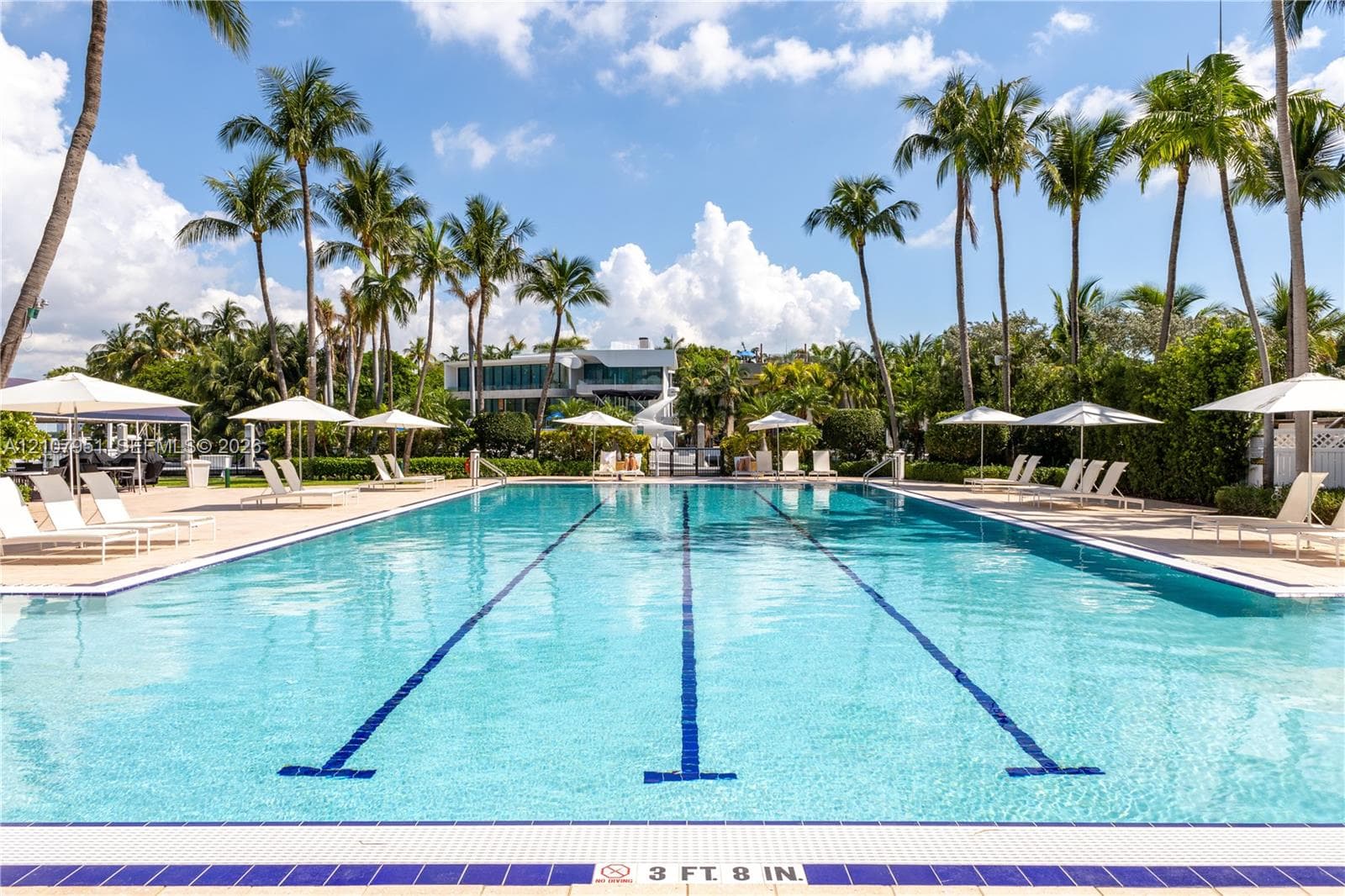 Lap pool featuring lane markings, tiled perimeter, and surrounding paved pool deck framed by mature palm trees