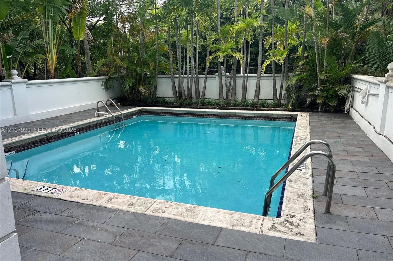 Swimming pool with stone coping, dark tile patio, and solid perimeter wall, surrounded by mature palm trees