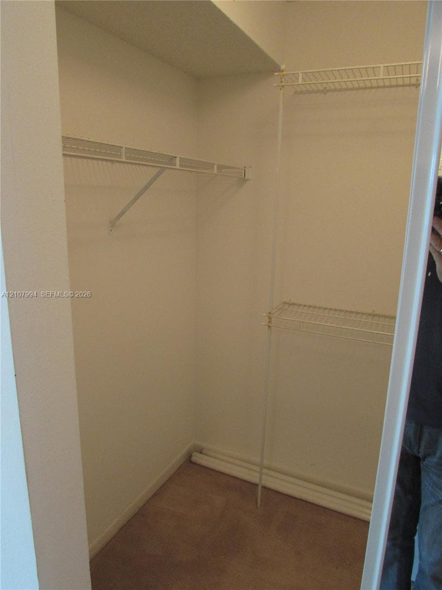 Storage closet featuring carpeted flooring and multiple levels of integrated wire shelving