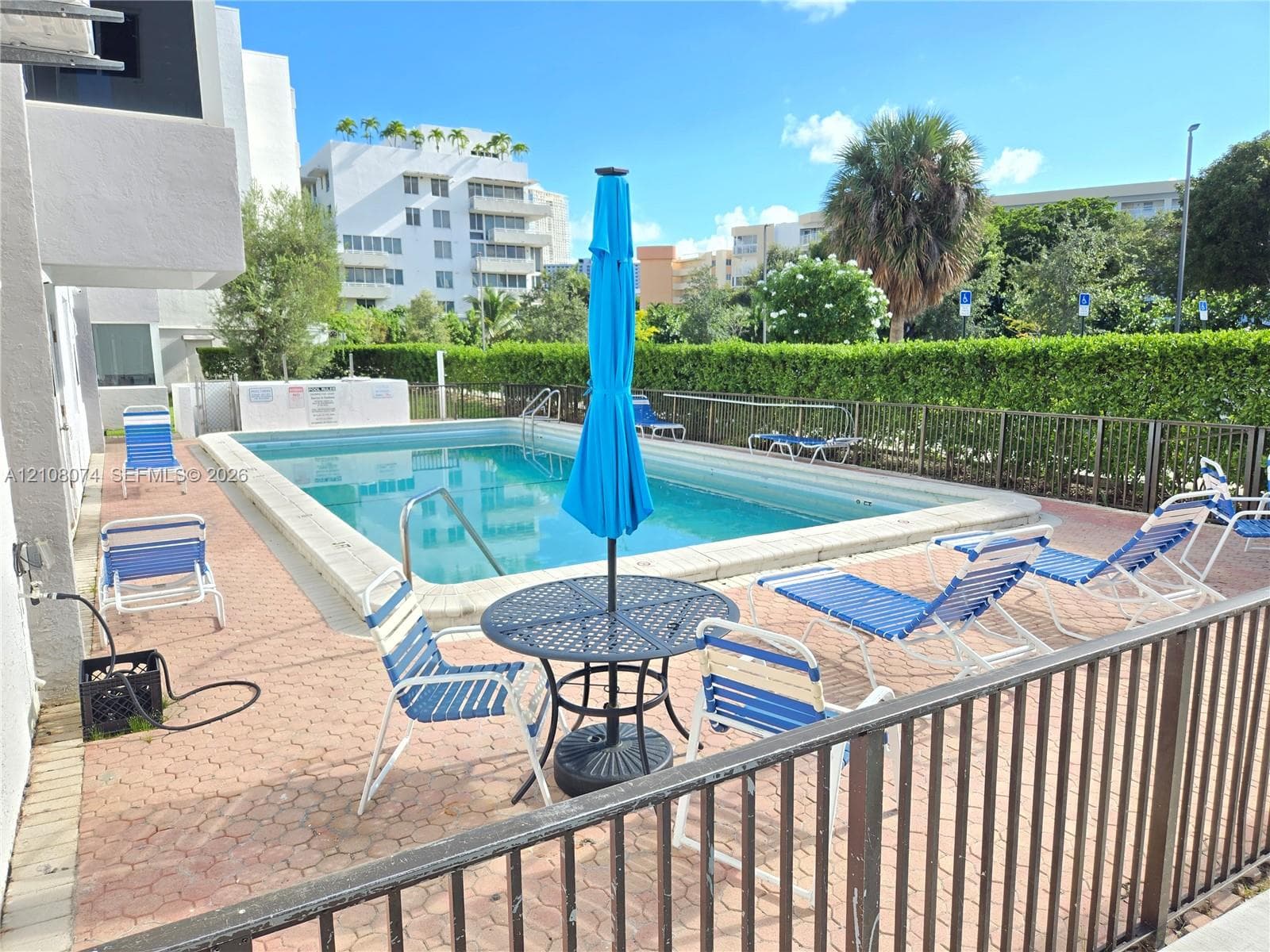 In-ground swimming pool with a concrete surround, enclosed by metal fencing and mature privacy hedging