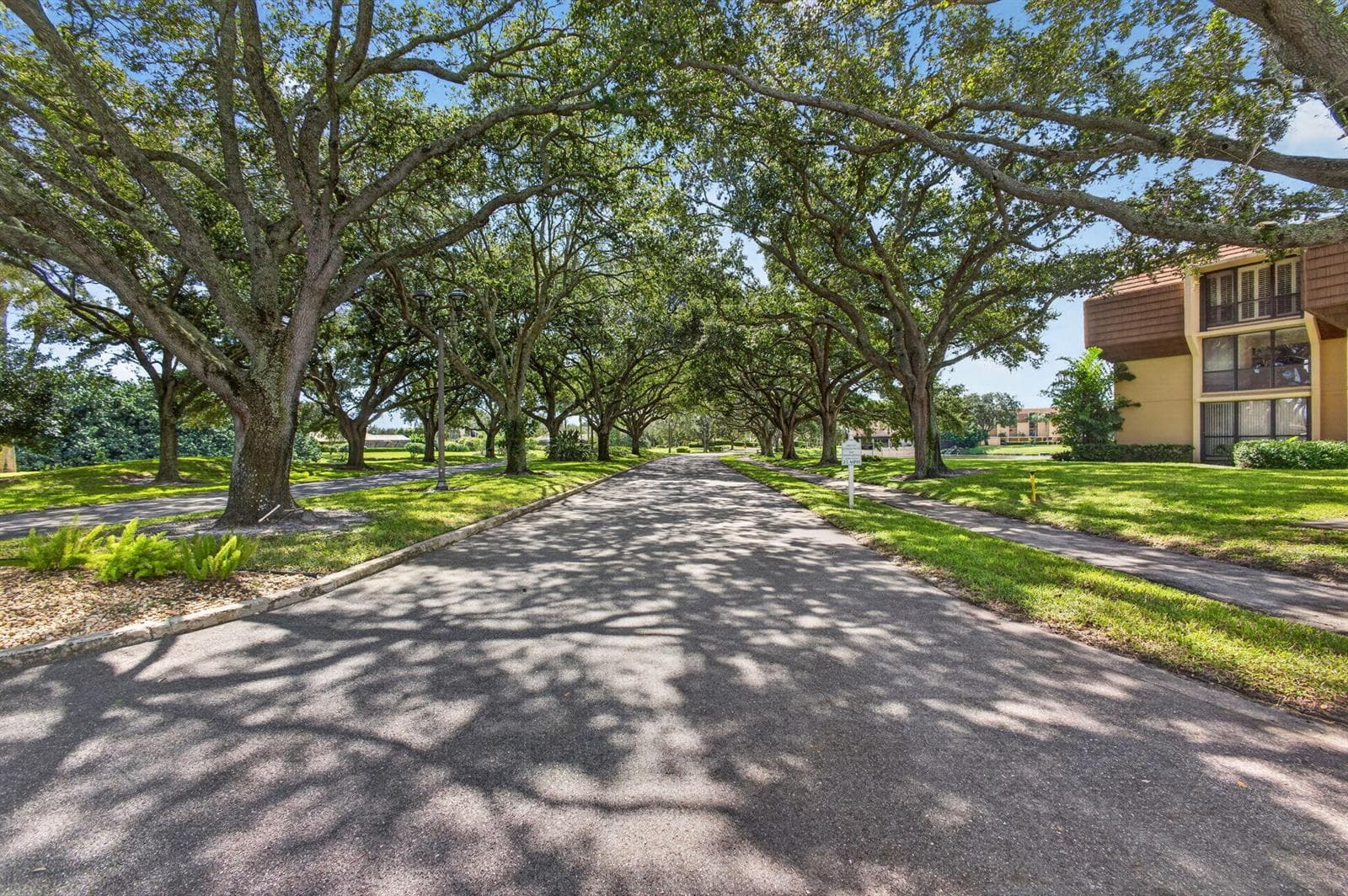 83-web-or-mls-WL - Treelined Streets