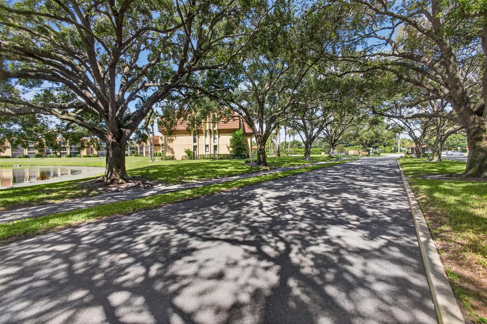 86-web-or-mls-WL - Treelined Streets