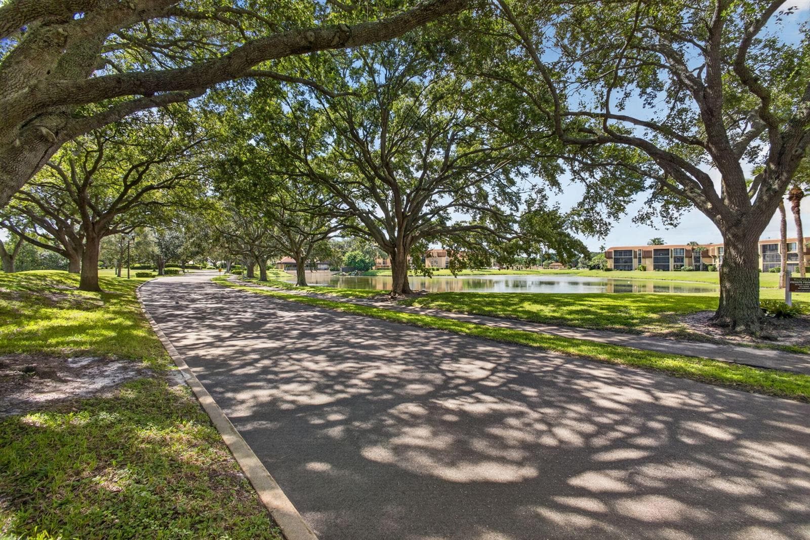 85-web-or-mls-WL - Treelined Streets
