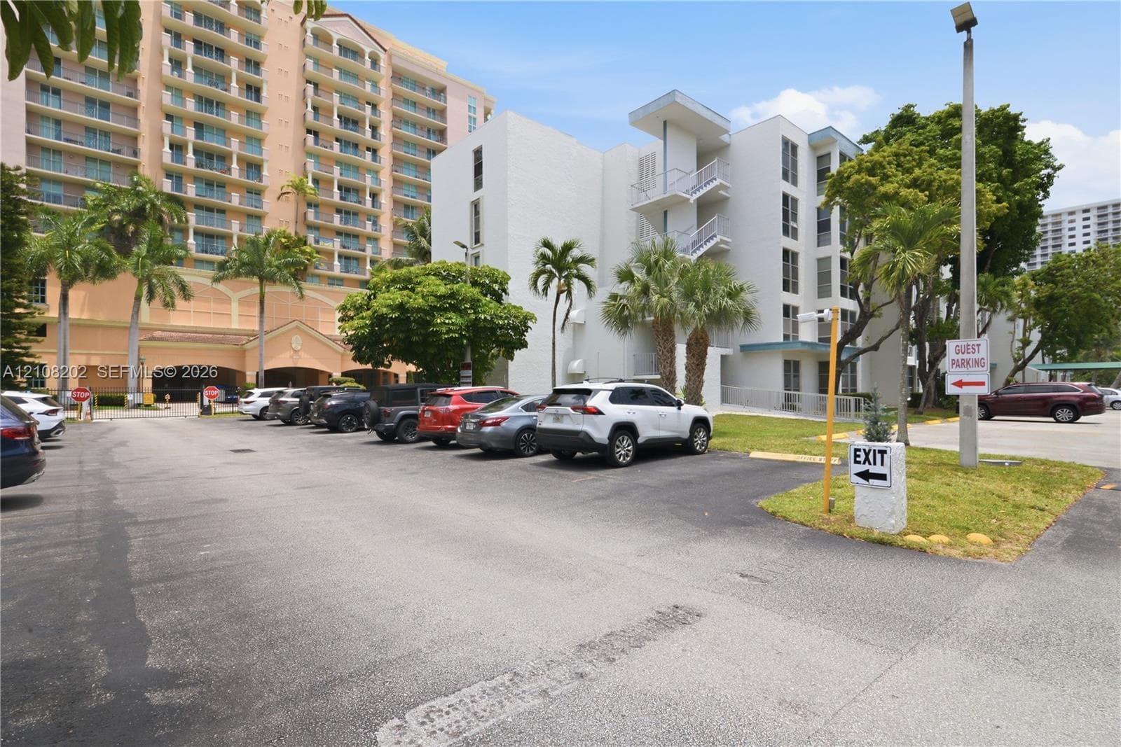 Asphalt-paved surface parking lot featuring designated guest parking and mature palm trees