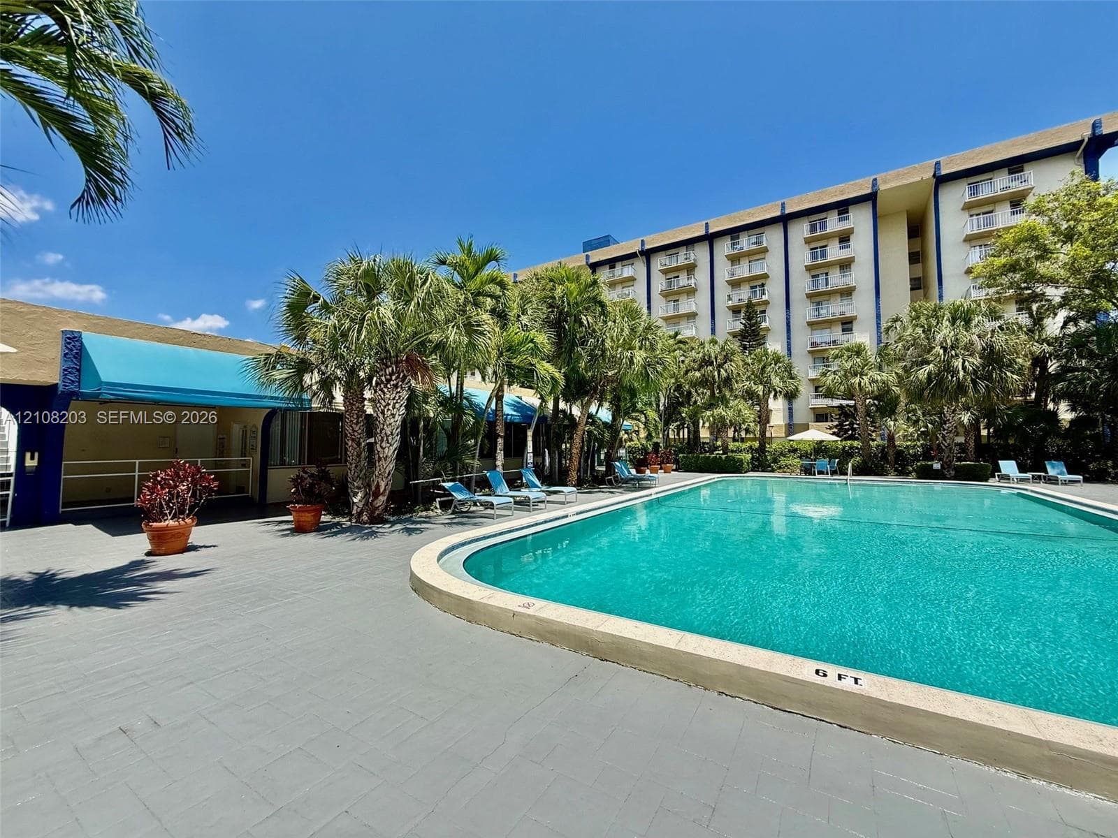 In-ground swimming pool featuring a concrete surround, turquoise fabric awnings, palm tree landscaping, and multi-story building facade