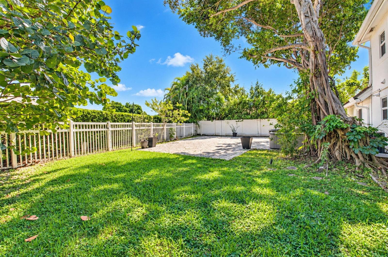 Backyard