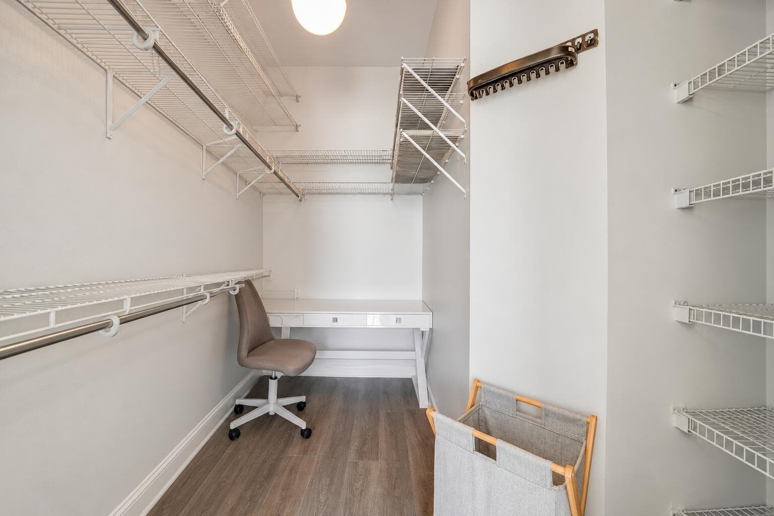 Guest Bedroom Walk-in Closet