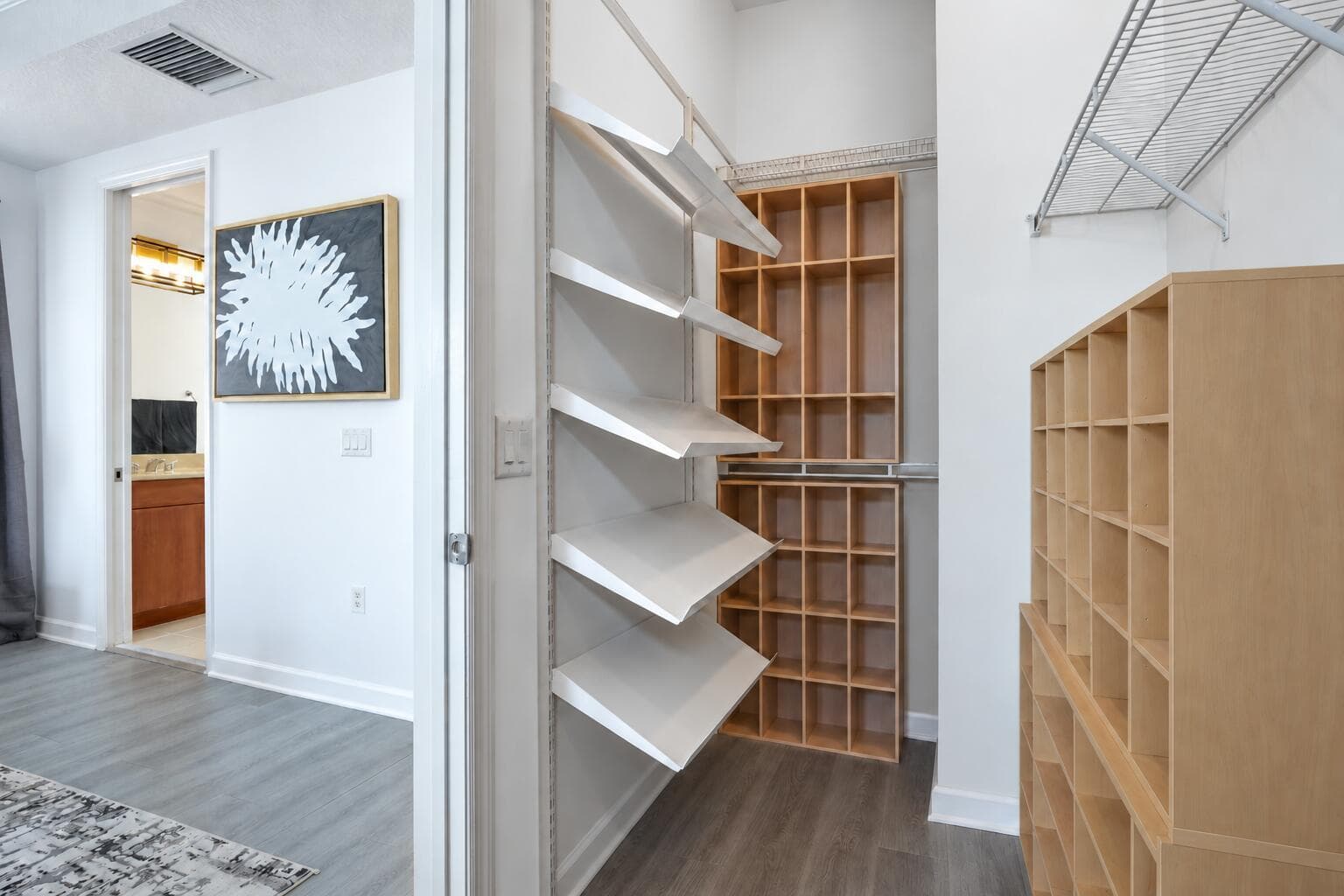 Primary Bedroom Walk-in Closet