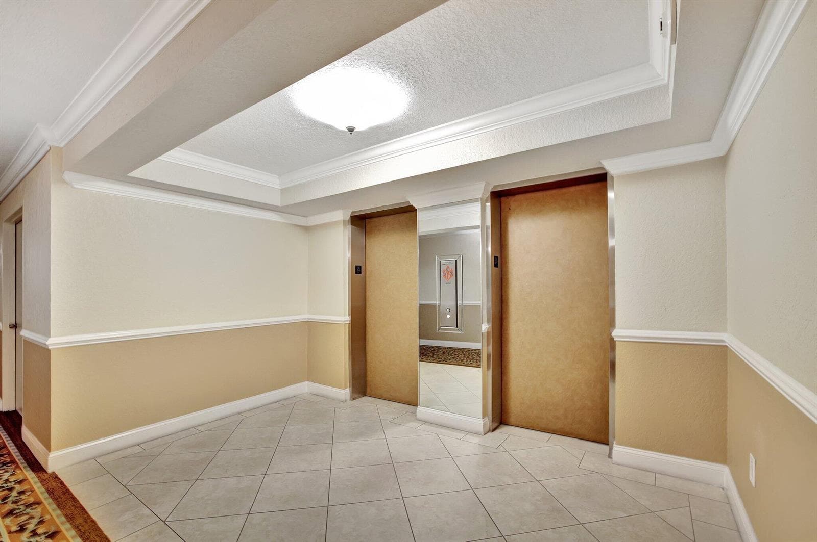 50-web-or-mls-699A2803