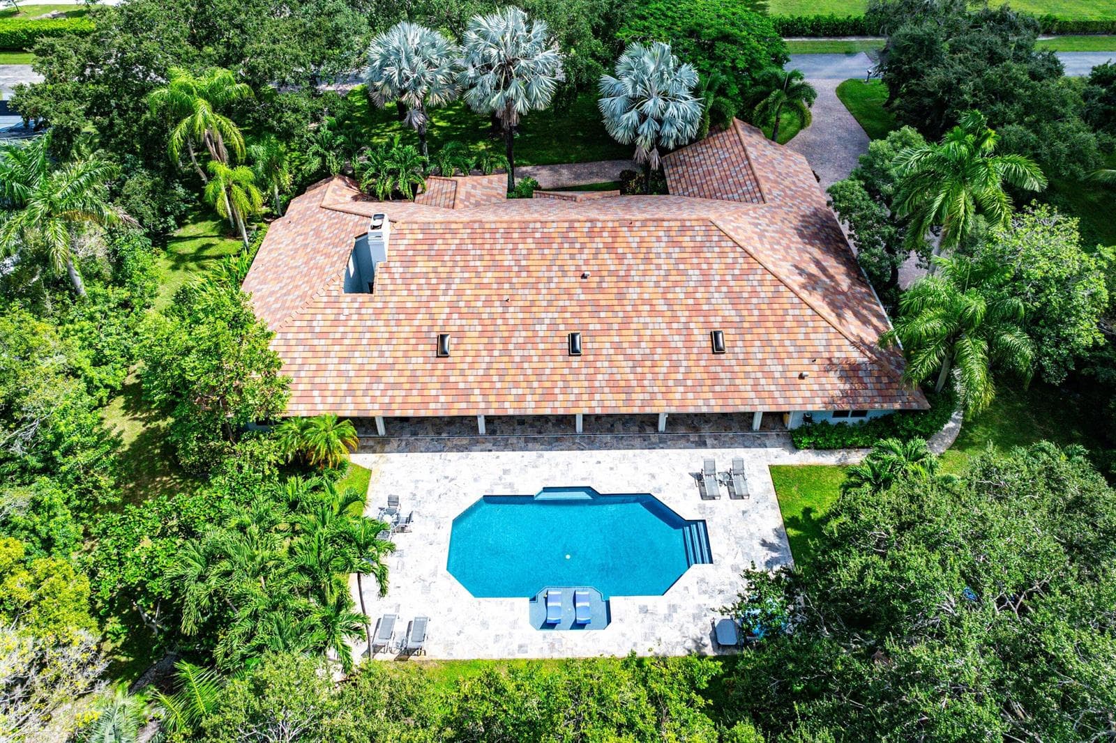 Aerial - Rear