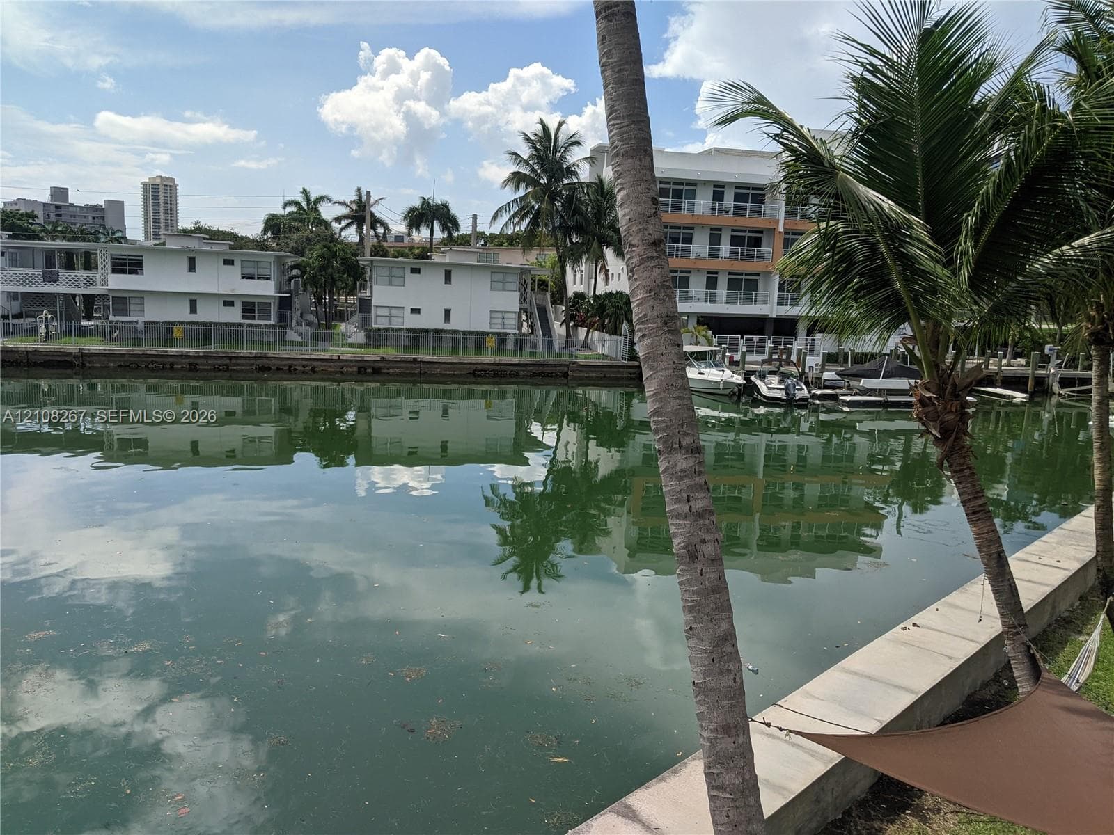 Waterfront bulkhead featuring concrete seawall and palm trees