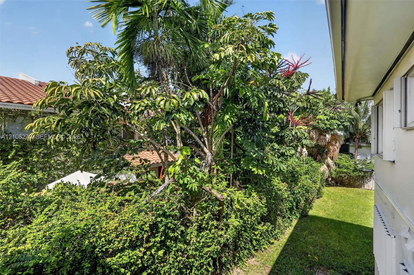 Exterior side yard featuring a manicured lawn, established landscaping, and mature palm trees