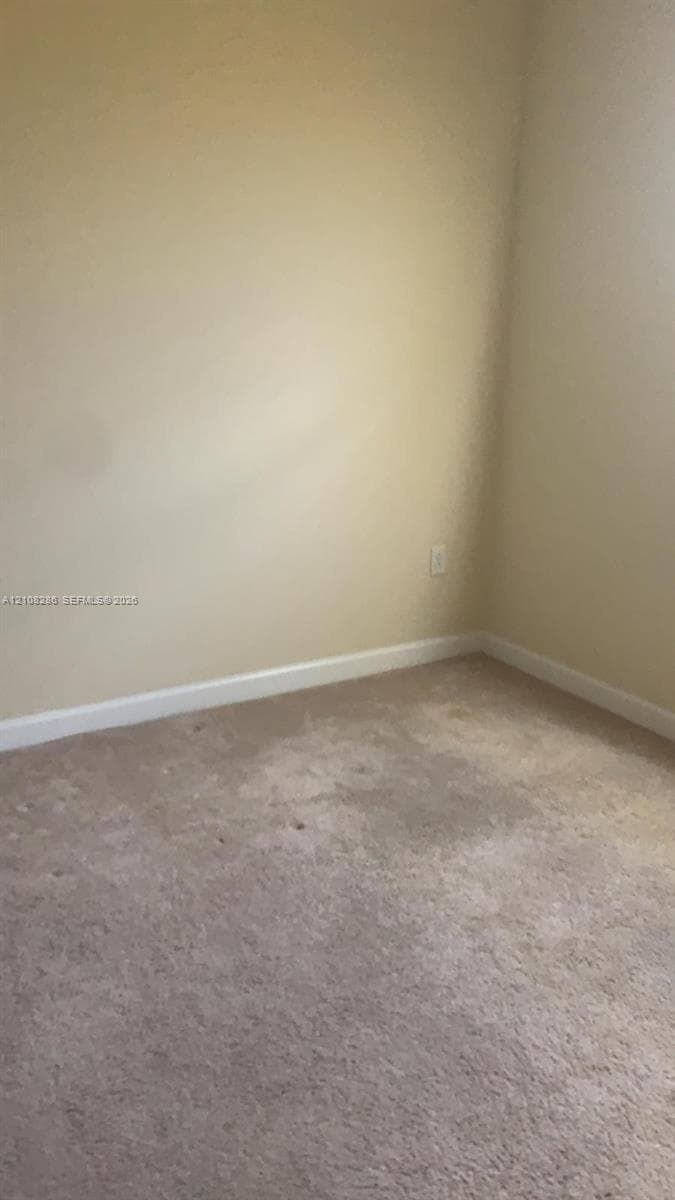 Interior room featuring wall-to-wall carpeting and neutral-toned painted walls
