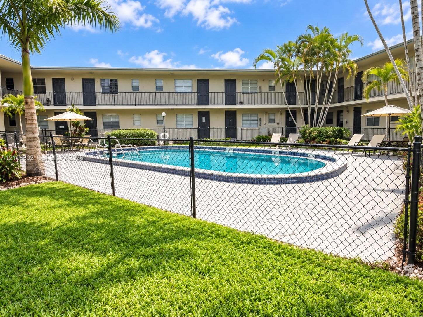 In-ground swimming pool featuring a tiled waterline, surrounded by a concrete deck, manicured lawn, and mature palm trees