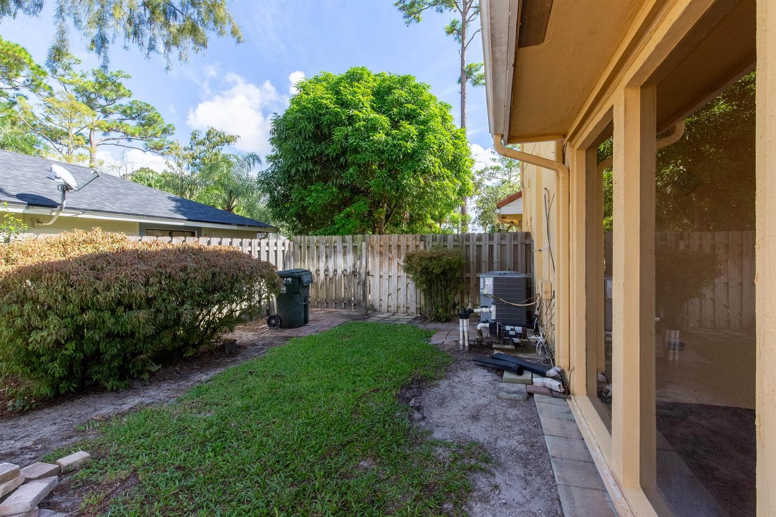 Back yard