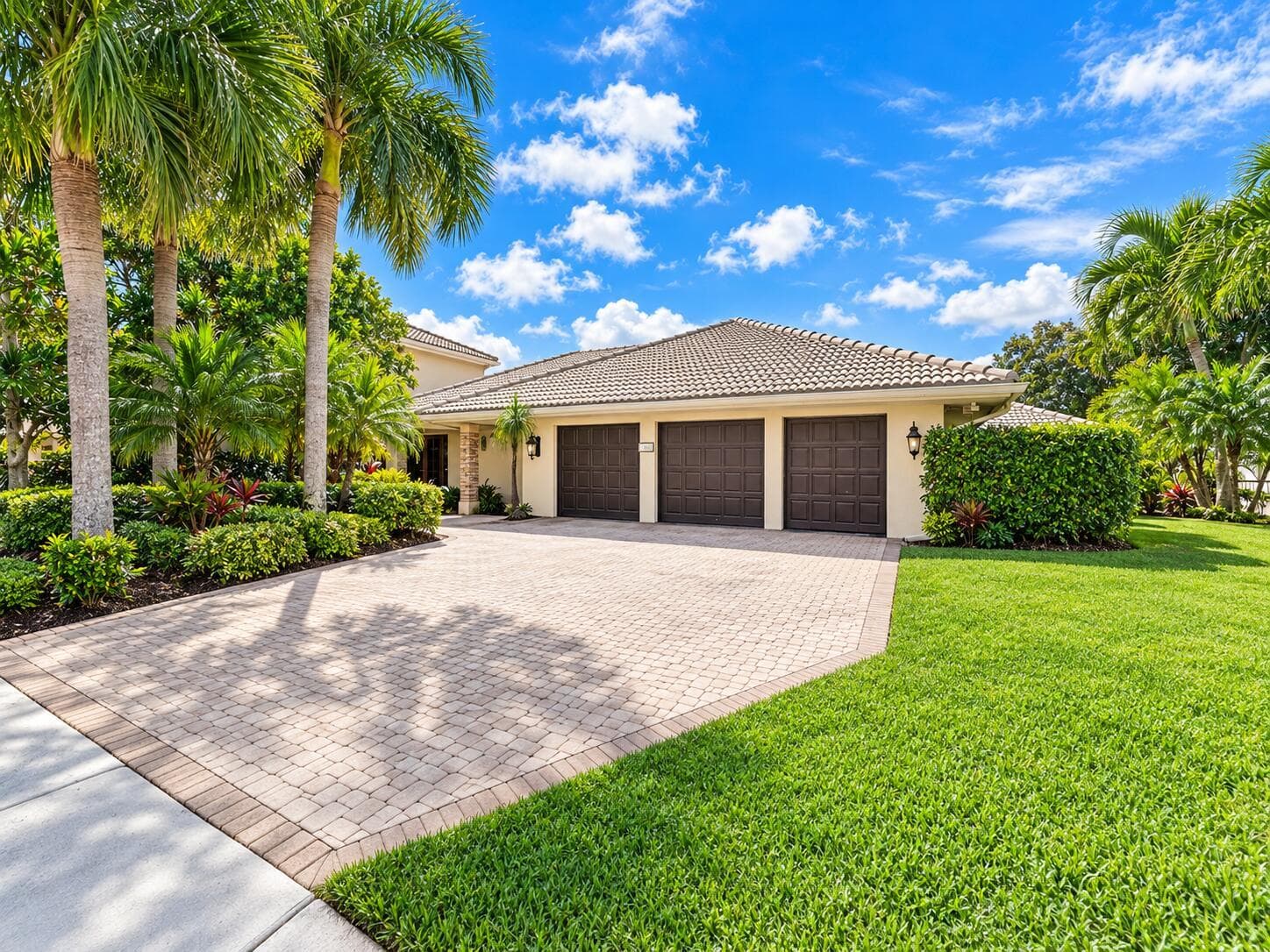 003-16821RoseAppleDrive