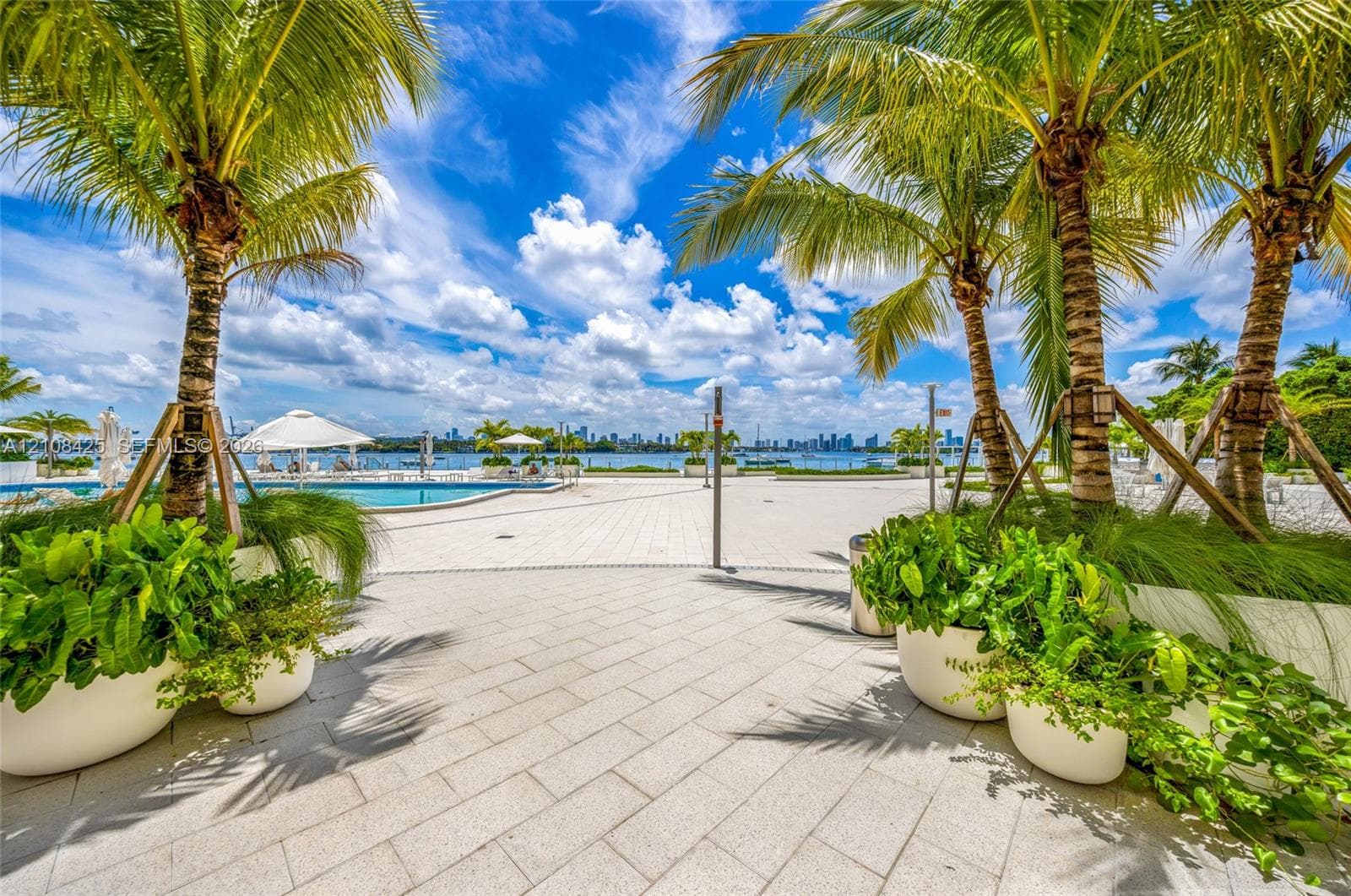Paved patio terrace featuring mature palm trees, large integrated planters, and a swimming pool