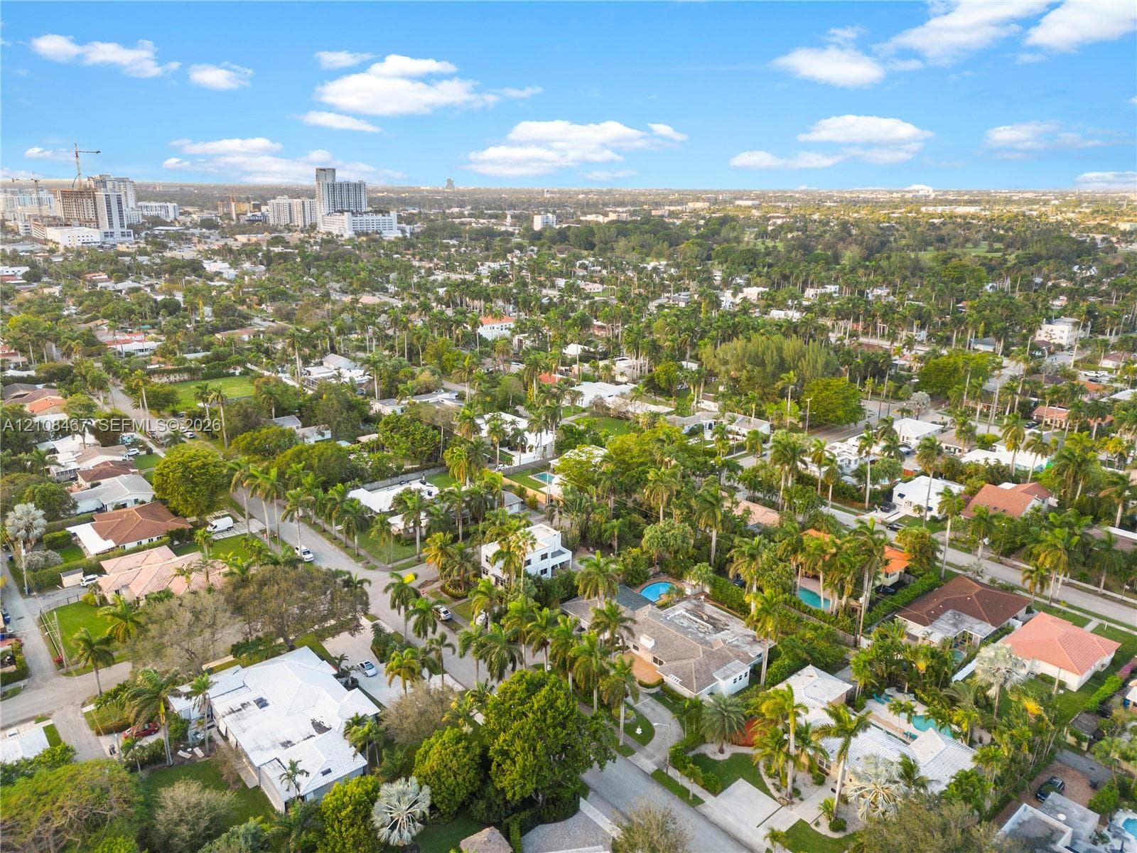 Aerial perspective of a tropical residential community featuring dense canopy trees, manicured lawns, paved street infrastructure, and proximity to an urban skyline