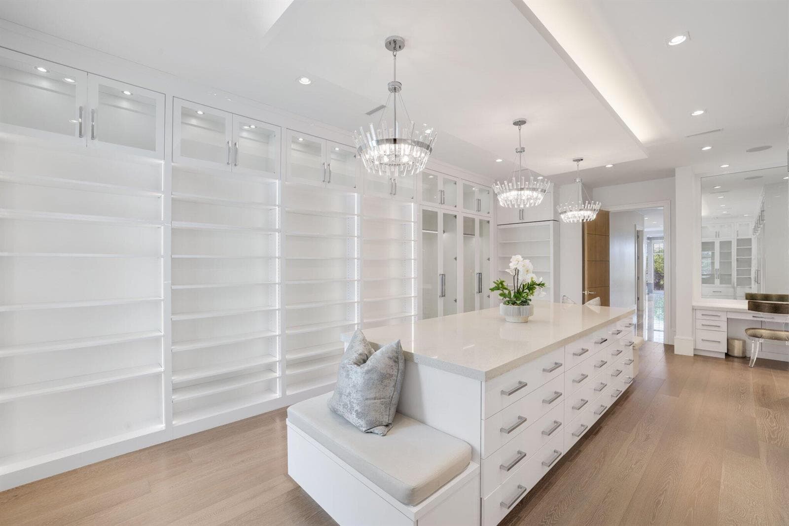 Luxurious Closet
