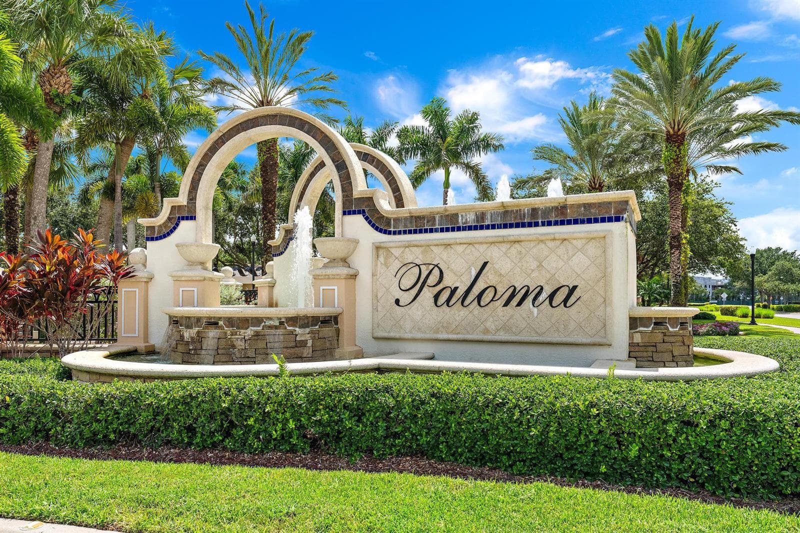 Paloma