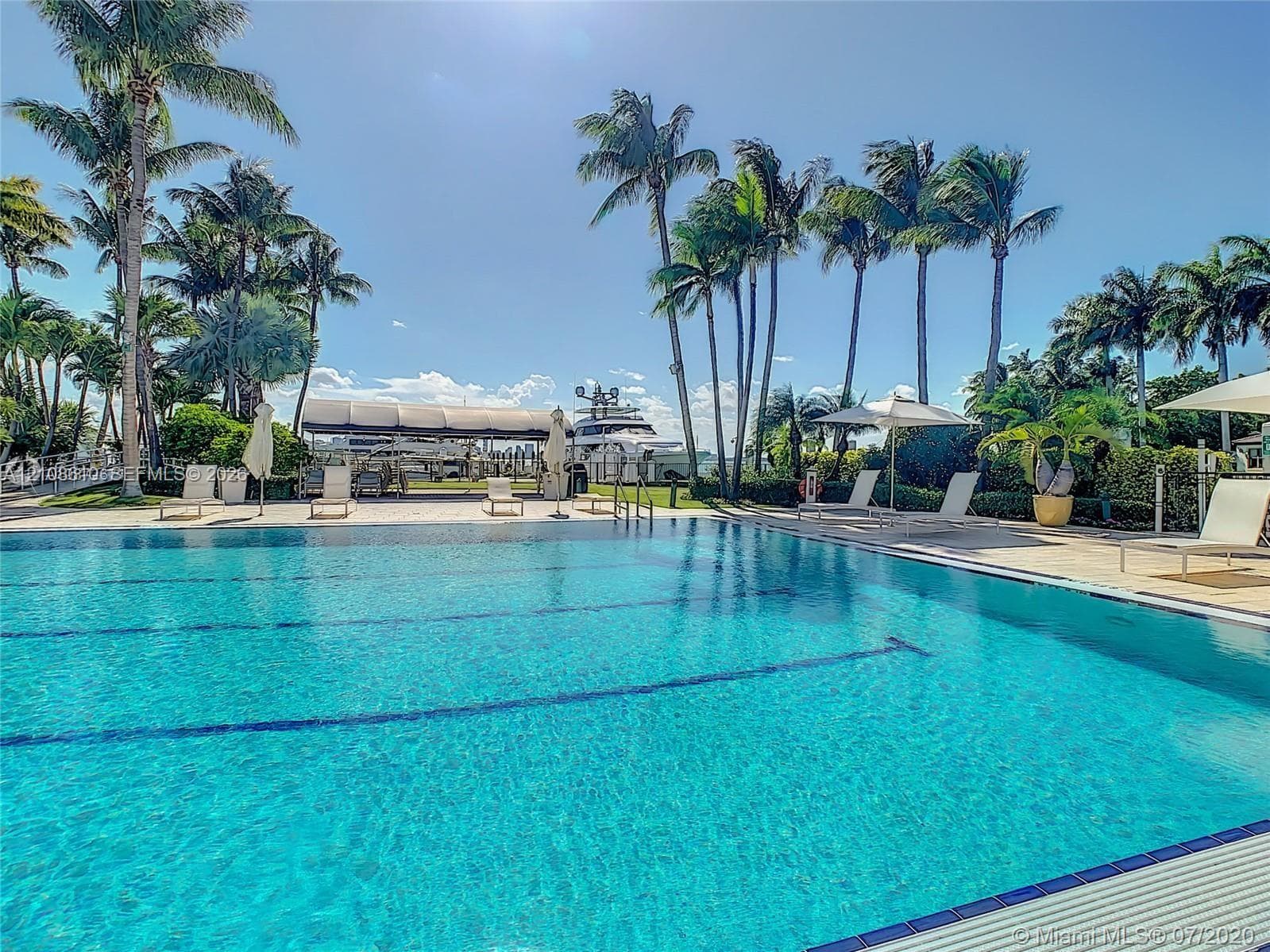 Swimming pool featuring tiled lane markers, stone-paved deck, covered boat dock, and mature palm trees