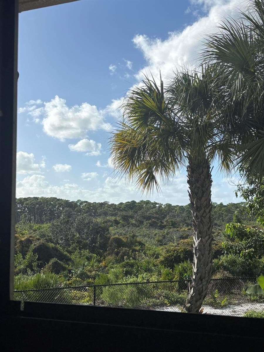 bedroom view