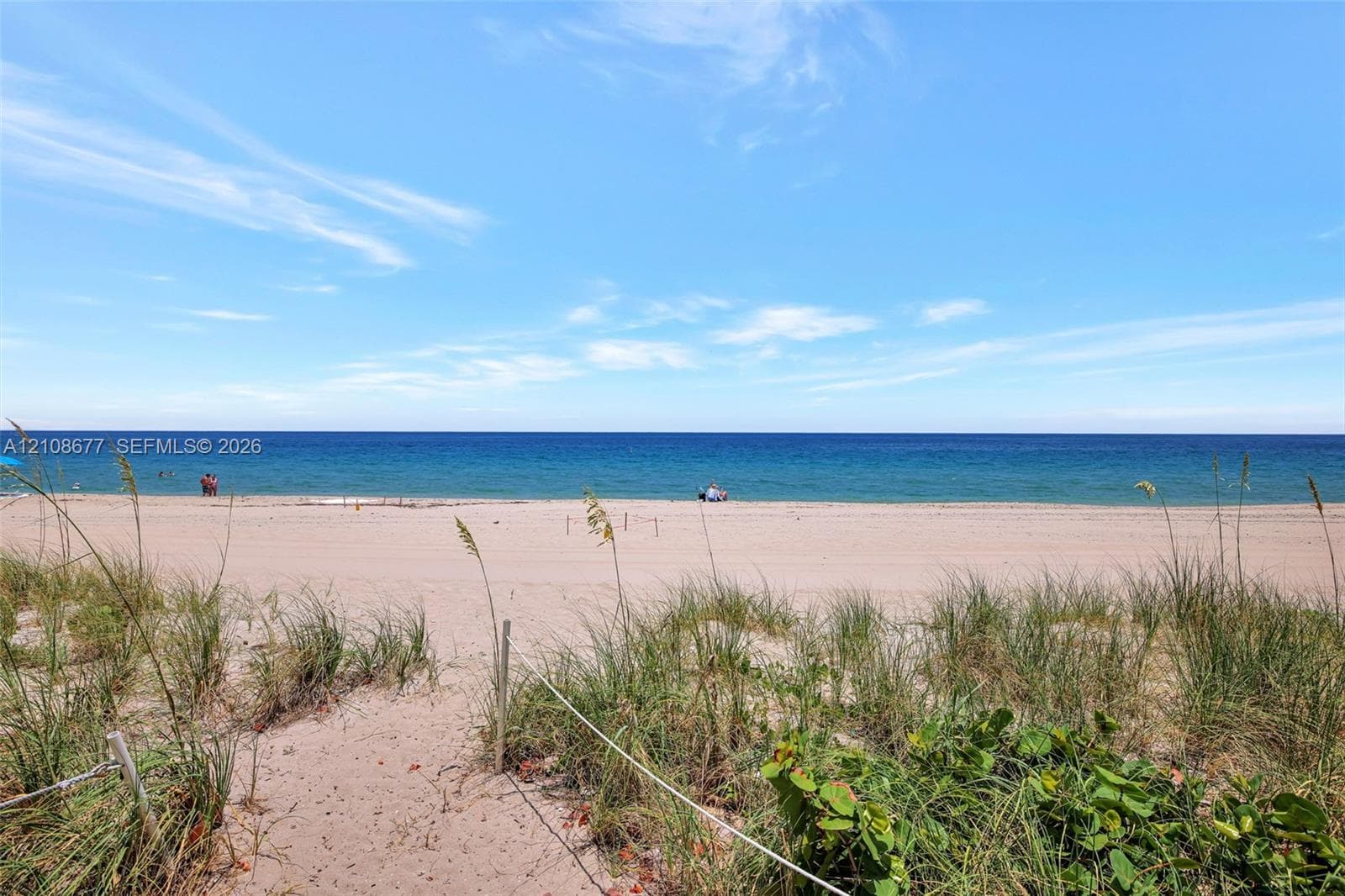 Beach with native coastal dune grasses and direct access to the ocean