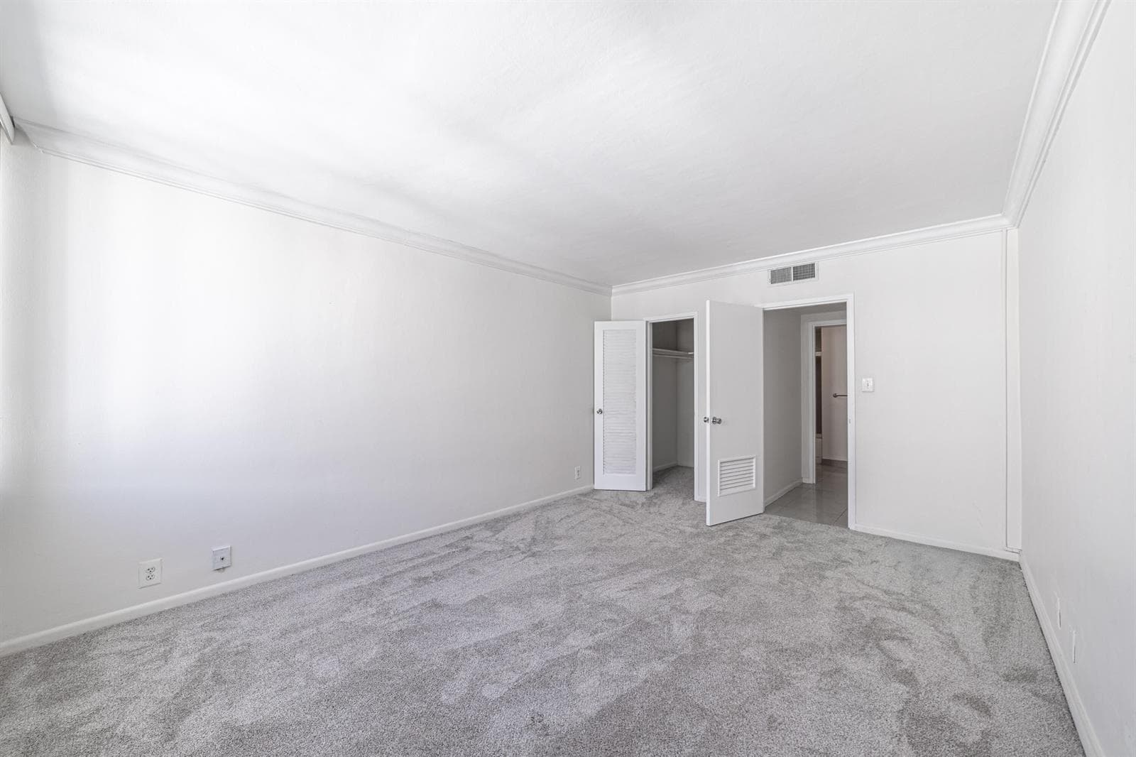New Carpet 2025