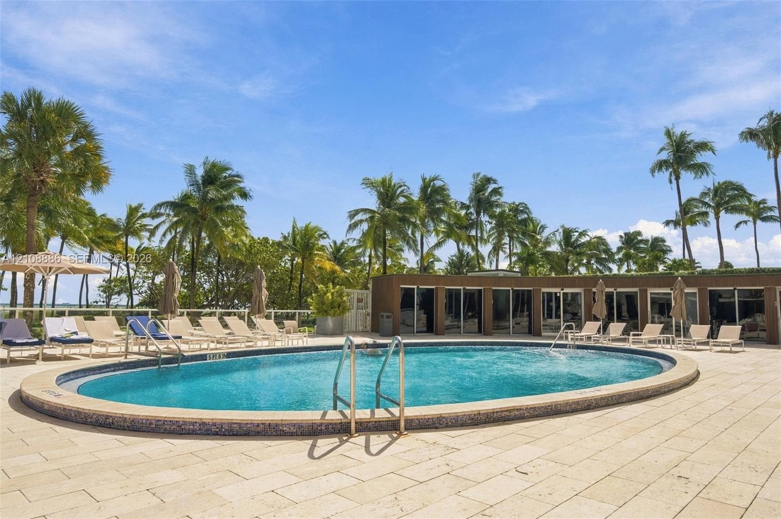 Oval swimming pool featuring a tiled perimeter and metal handrails, set within a stone-paved terrace surrounded by mature palm trees
