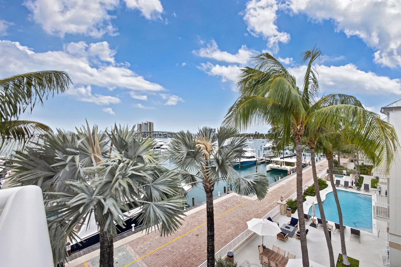 53-web-or-mls-5D1A2735