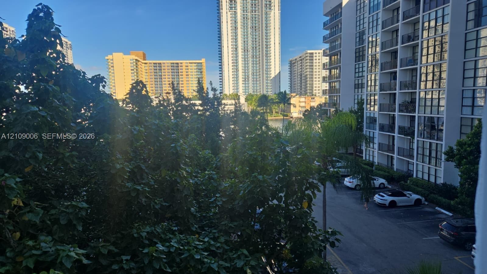 Urban exterior featuring mature canopy trees and surrounding high-rise architecture