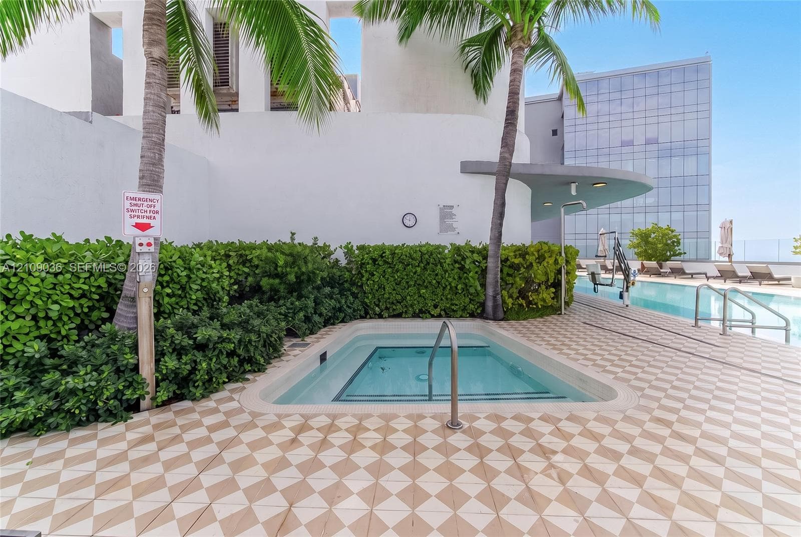 In-ground spa with a metal handrail, geometric patterned tile decking, mature palm trees, and manicured privacy hedging
