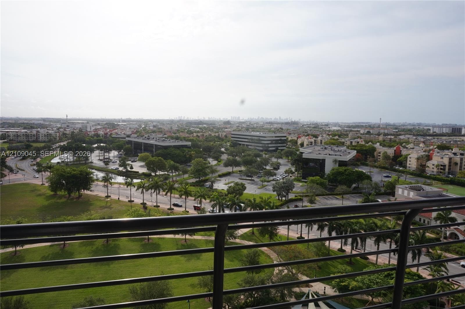 Elevated balcony with a black metal railing overlooking expansive green space, mature palm trees, and the surrounding cityscape