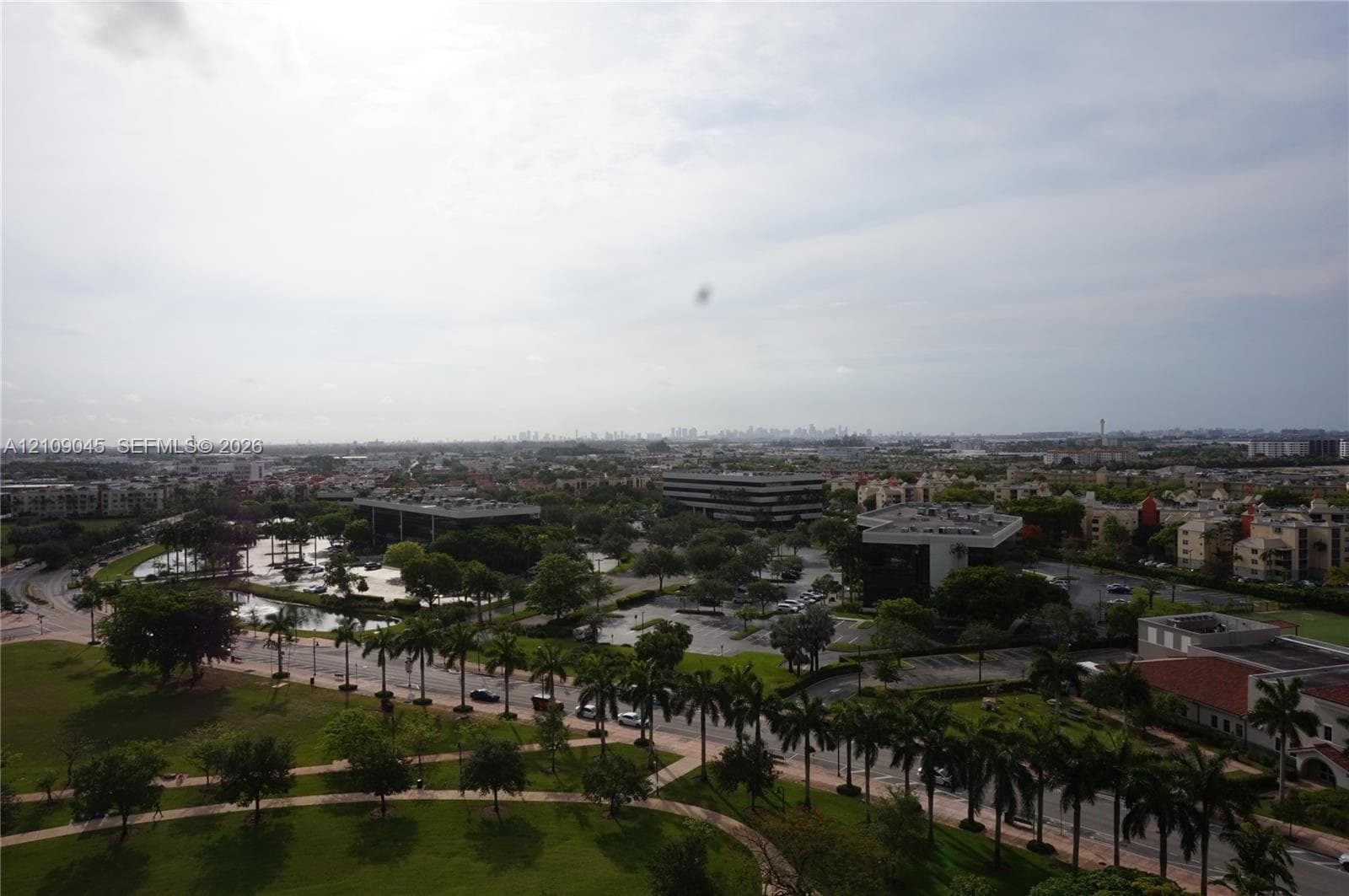 Elevated panoramic perspective featuring expansive green spaces, mature palm trees, multi-story commercial structures, and a distant urban horizon