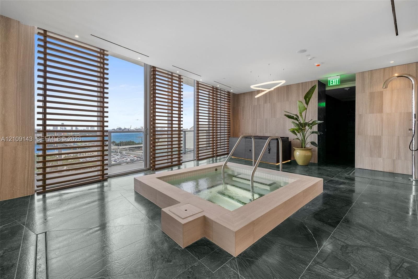 Spa with whirlpool and cold plunge