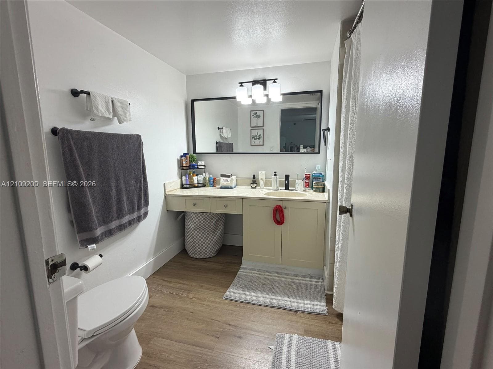 Bathroom featuring wood-finish flooring, a neutral vanity with an integrated sink, a large framed vanity mirror, and three-bulb vanity lighting