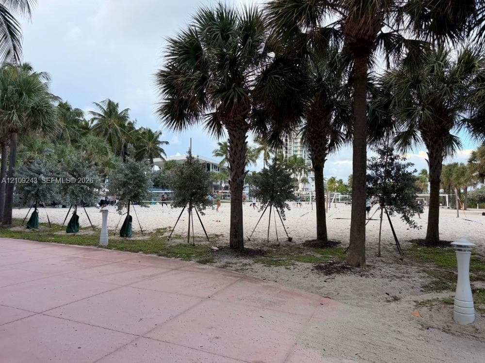 Sandy coastal shoreline featuring mature palm trees, established landscape plantings, and concrete hardscaping