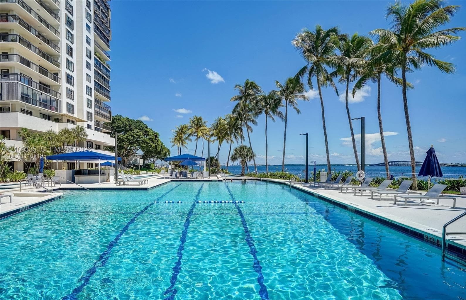Expansive swimming pool featuring marked lap lanes, light-toned paved decking, and a built-in outdoor bar area, framed by palm trees and coastal water