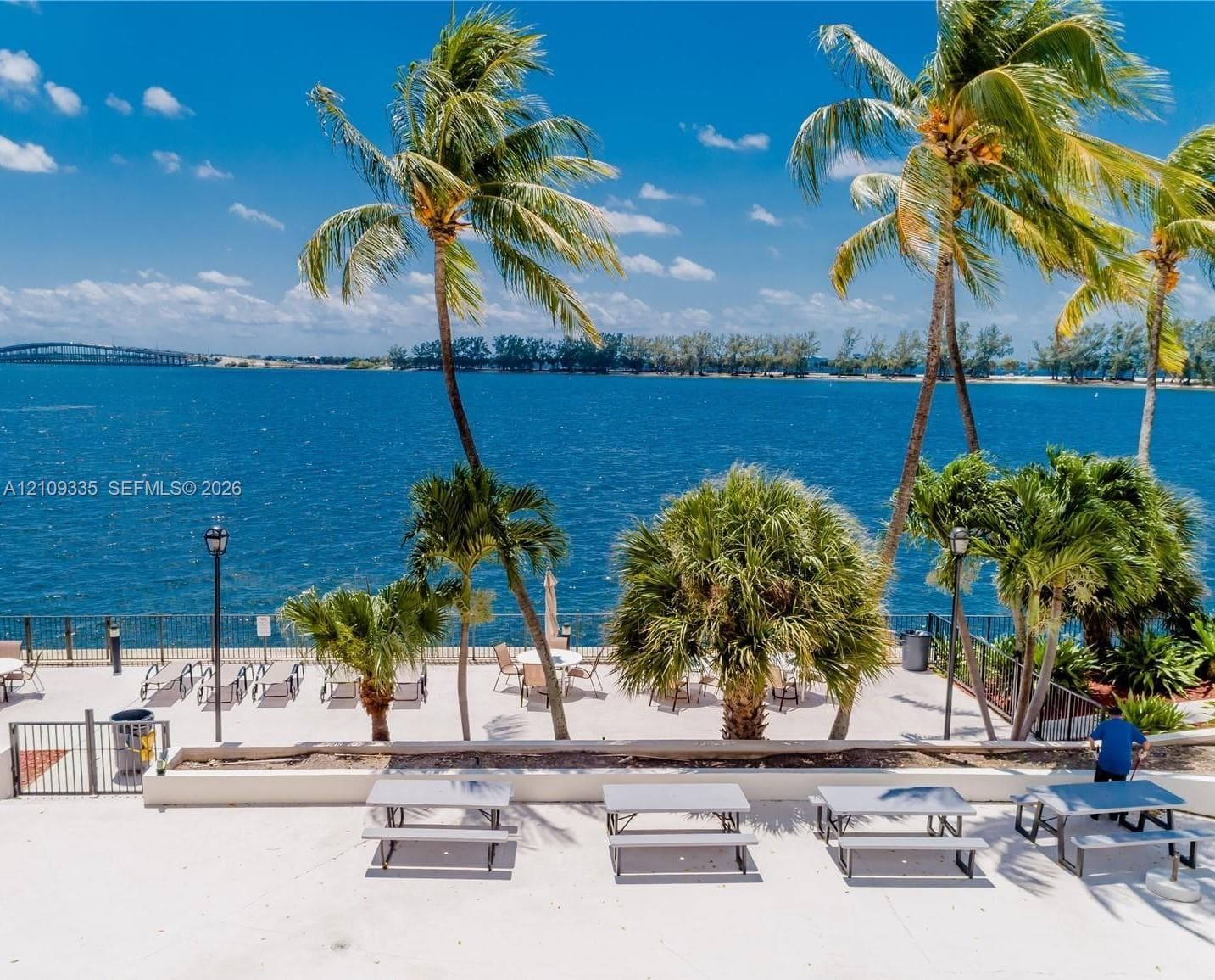 Waterfront terrace featuring a concrete patio, perimeter metal fencing, and mature palm trees