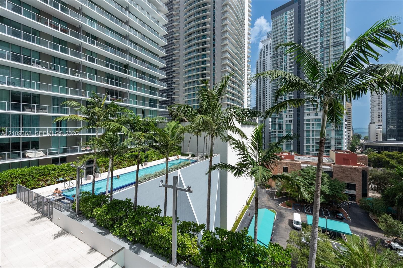 Outdoor terrace featuring a raised lap pool, tiled sundeck, perimeter privacy hedging, and mature palm trees