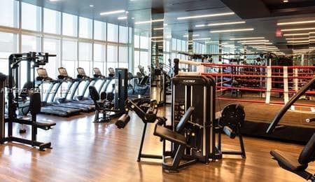Fitness center featuring floor-to-ceiling windows, wood-finish flooring, recessed linear lighting, mirrored walls, and a built-in boxing ring