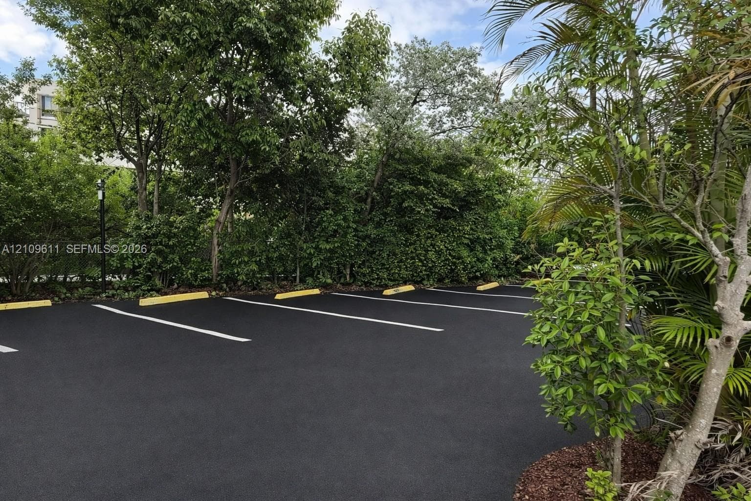 Paved surface parking area featuring painted stall lines, concrete wheel stops, and mature perimeter landscaping
