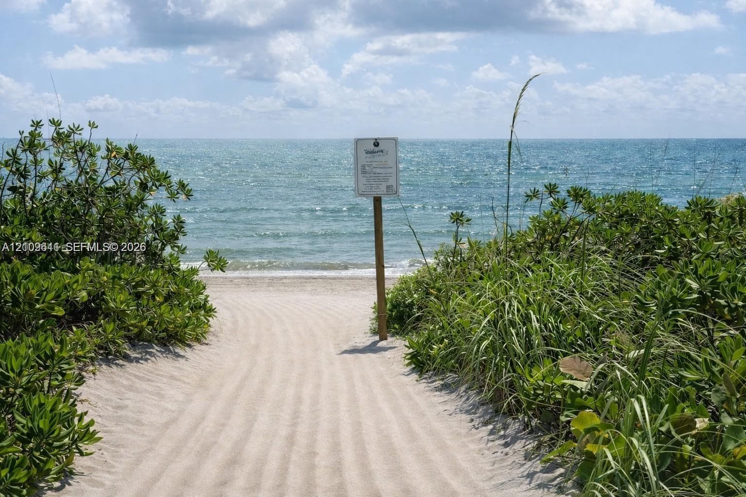 Sandy path featuring native coastal vegetation and direct oceanfront access